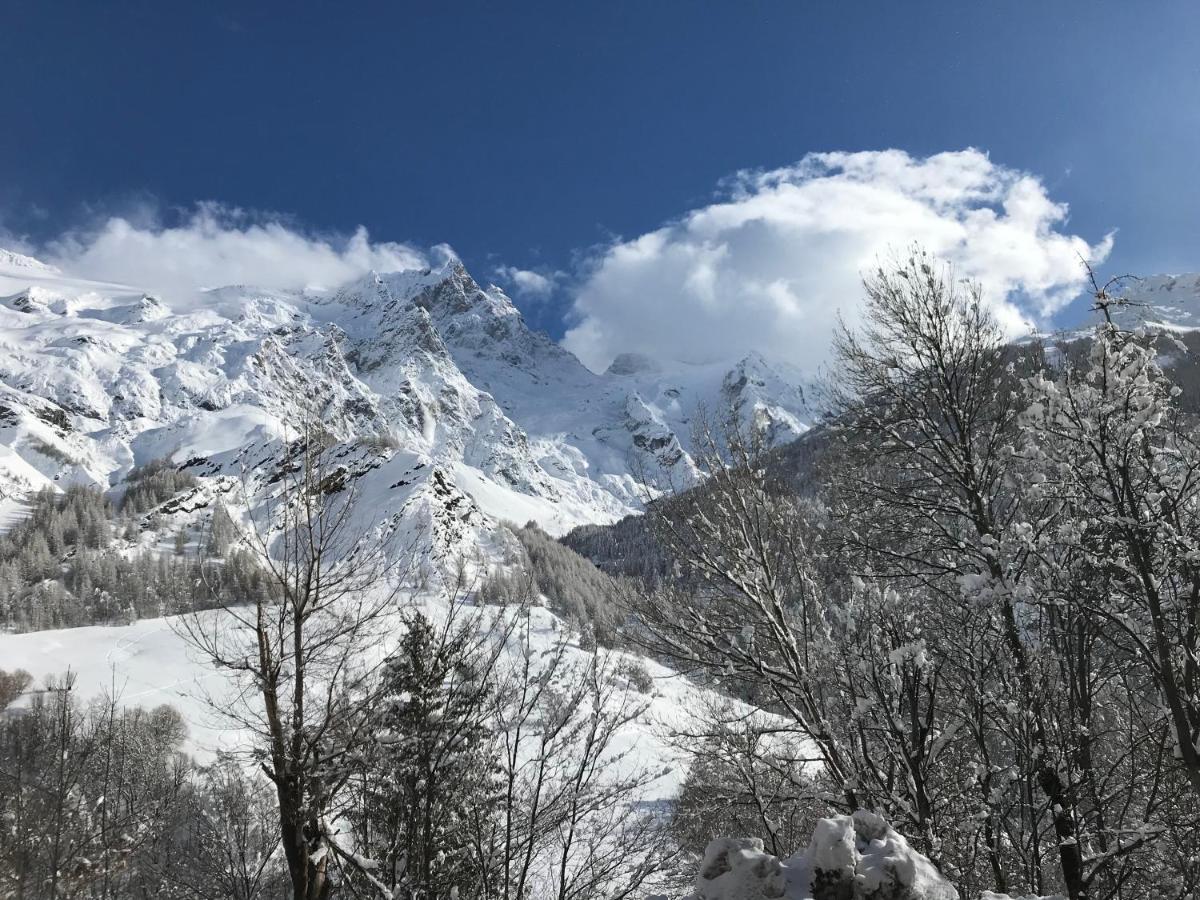 Hotel Des Alpes - Skiers & Bikers Lodge ラ・グラーヴ エクステリア 写真