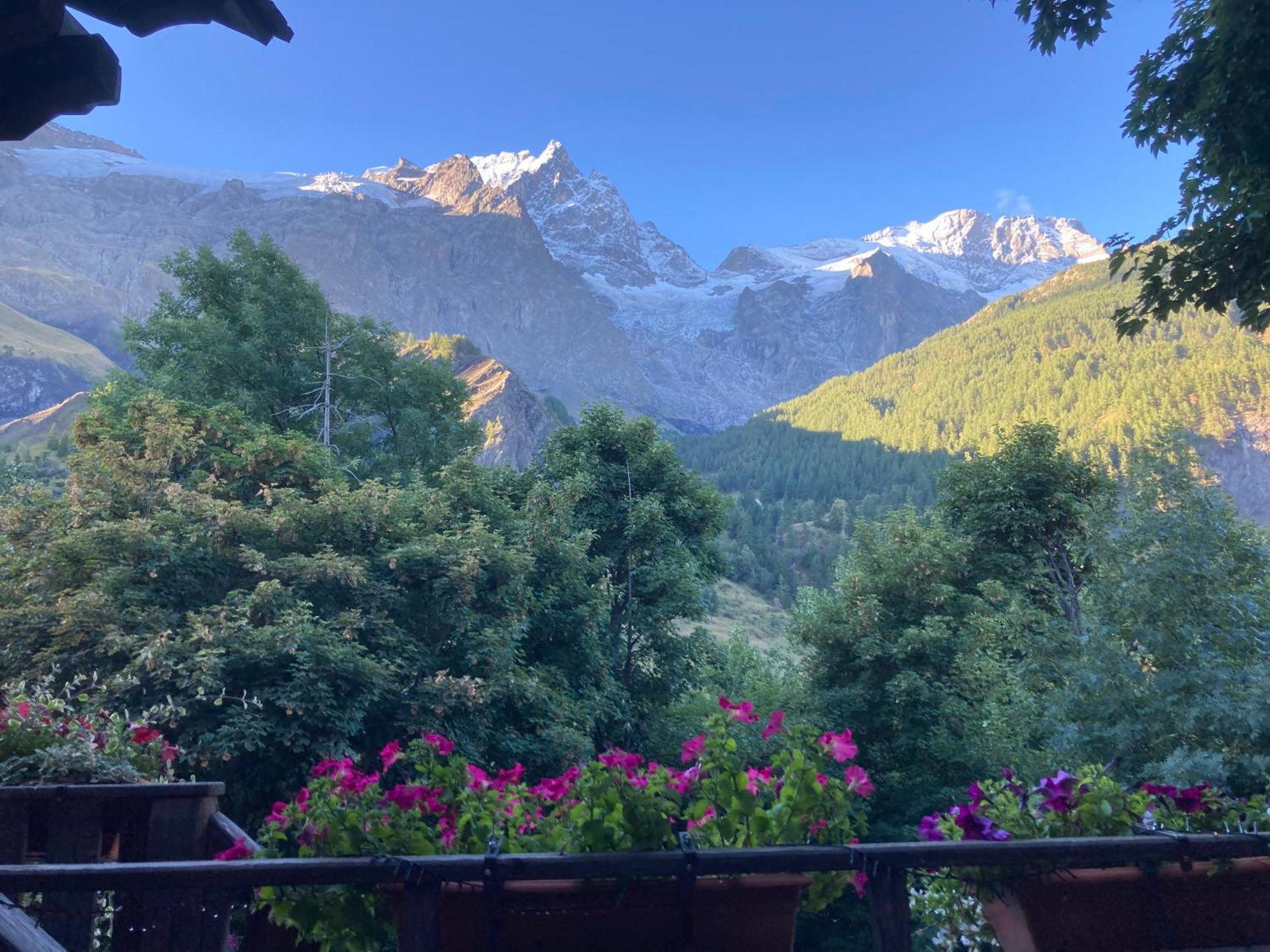Hotel Des Alpes - Skiers & Bikers Lodge ラ・グラーヴ エクステリア 写真