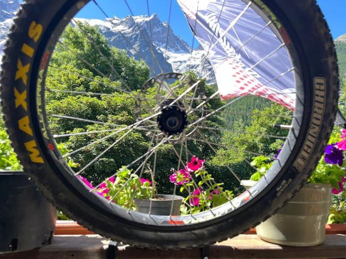 Hotel Des Alpes - Skiers & Bikers Lodge ラ・グラーヴ エクステリア 写真